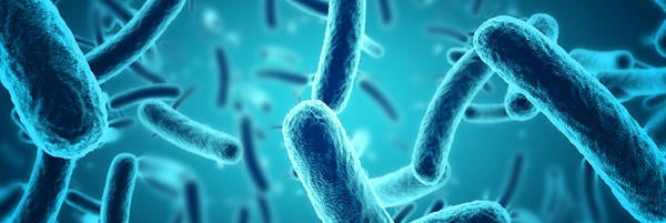 bacteria (c) iStock