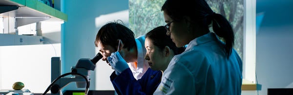 Students In Lab