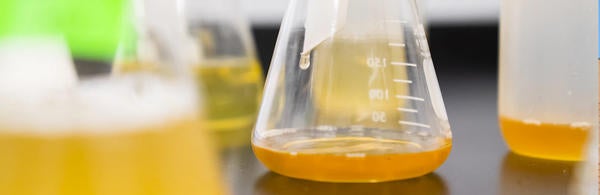 Laboratory Testing Vase