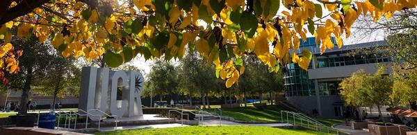 Fall colors, UCR sign, CNAS Scholarships 2020-2021