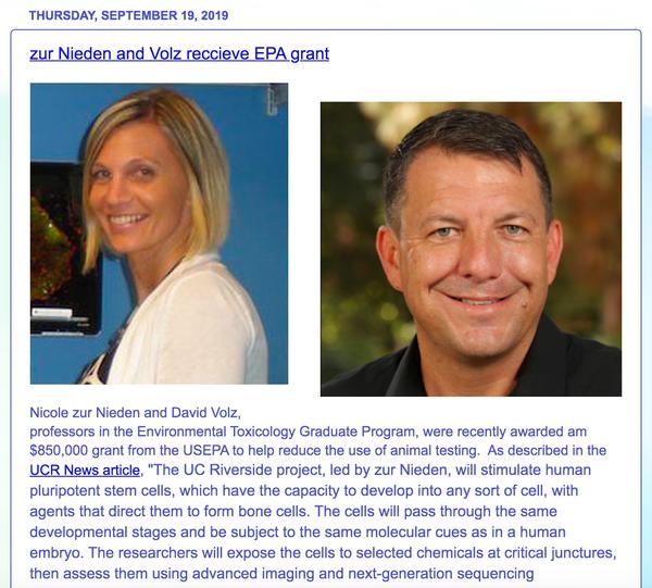 eTox news screenshot