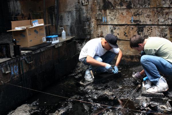 Microbial tarpit collection